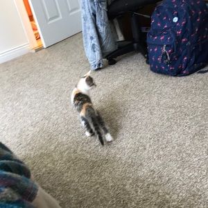 Meet your Posher, Mia